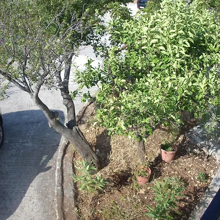 Olympia House Apartman